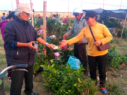 Du xuân chợ Viềng mua may ảnh 2