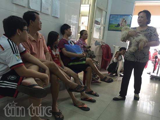 Đầu năm bệnh viện chó mèo quá tải ảnh 1