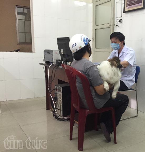 Đầu năm bệnh viện chó mèo quá tải ảnh 3