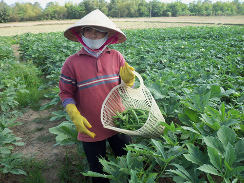 Nữ cán bộ gương mẫu ảnh 1