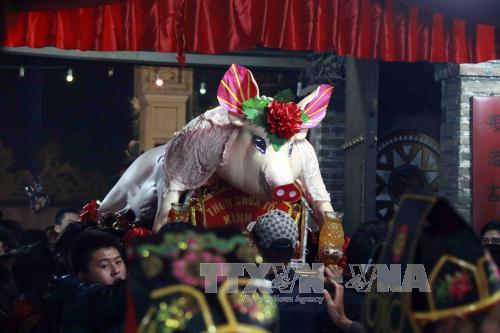 Tưng bừng Lễ hội rước lợn La Phù, Hà Nội ảnh 3