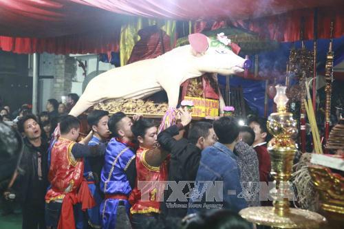 Tưng bừng Lễ hội rước lợn La Phù, Hà Nội ảnh 4