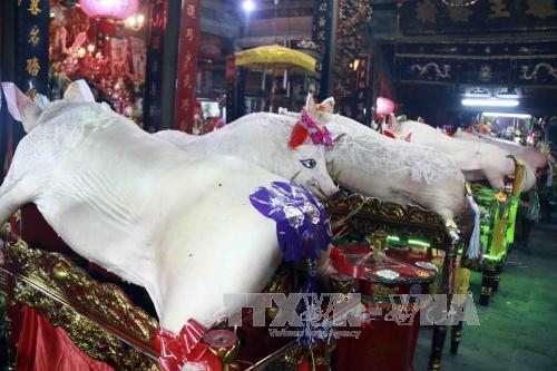 Tưng bừng Lễ hội rước lợn La Phù, Hà Nội ảnh 5