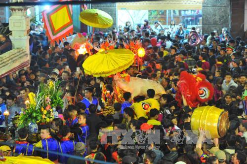 Tưng bừng Lễ hội rước lợn La Phù, Hà Nội ảnh 6