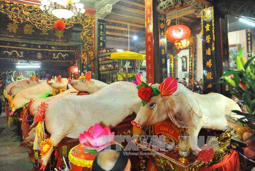 Tưng bừng Lễ hội rước lợn La Phù, Hà Nội ảnh 7