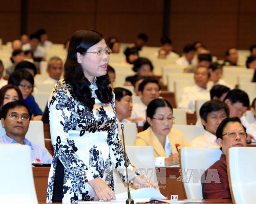 Thúc đẩy phụ nữ tham gia Quốc hội, HĐND ảnh 1