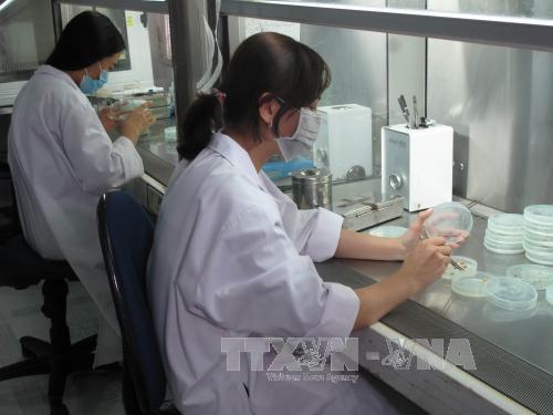 Đồng bằng sông Cửu Long điêu đứng vì hạn mặn ảnh 9
