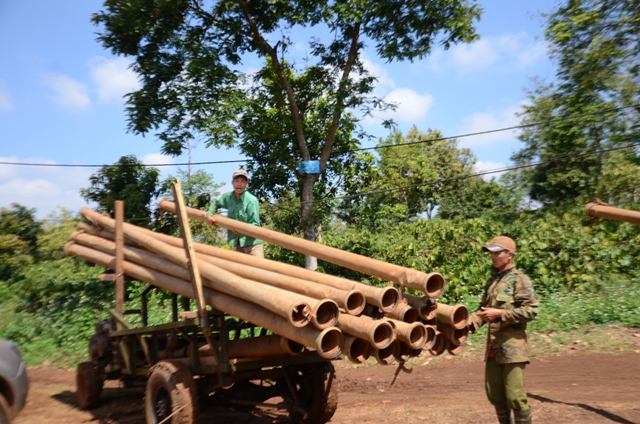 Tây Nguyên gồng mình chống hạn ảnh 2