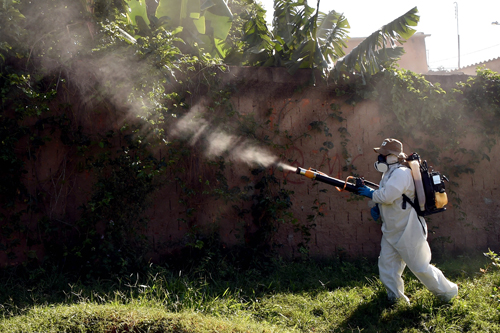 IAEA và cuộc chiến chống muỗi Zika ảnh 1