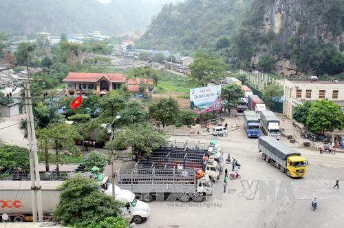 Kim ngạch Việt-Trung hướng tới 100 tỉ USD năm nay ảnh 1