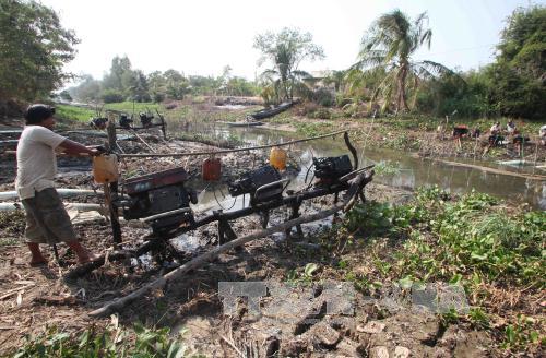Tiền Giang oằn mình vì hạn hán, xâm mặn ảnh 4