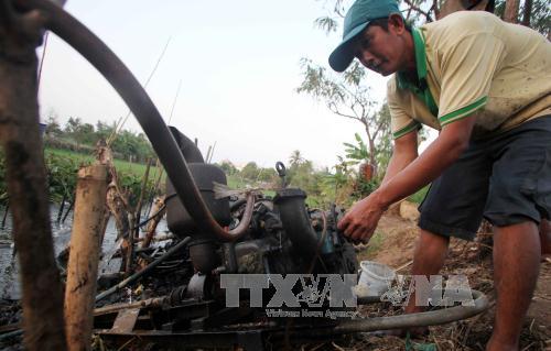 Tiền Giang oằn mình vì hạn hán, xâm mặn ảnh 6