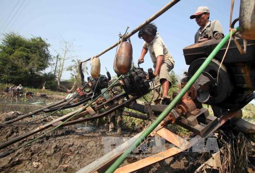 Tiền Giang oằn mình vì hạn hán, xâm mặn ảnh 8