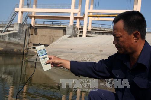Tiền Giang oằn mình vì hạn hán, xâm mặn ảnh 9