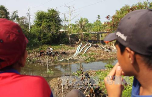 Tiền Giang oằn mình vì hạn hán, xâm mặn ảnh 11