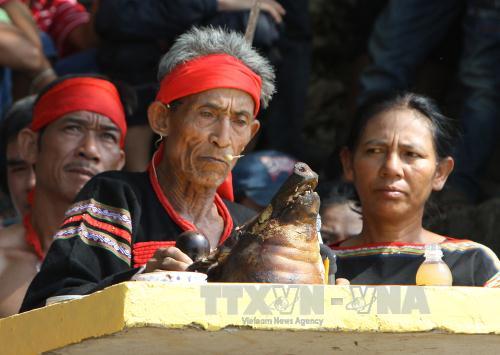 Rộn ràng lễ hội Buôn Đôn ảnh 2