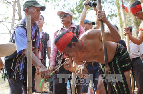 Rộn ràng lễ hội Buôn Đôn ảnh 4