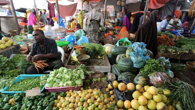 Xã hội không tiền mặt tại Somalia ảnh 1