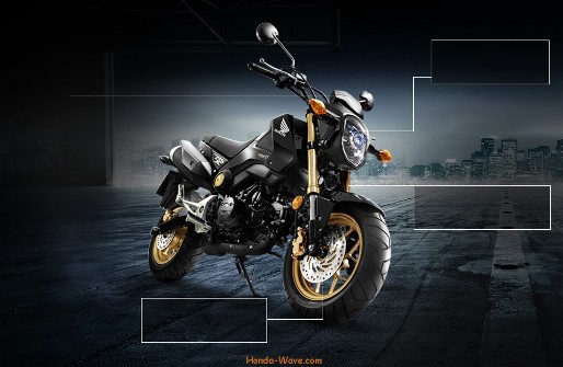 Honda Việt Nam tri ân khách hàng mua xe MSX 125cc ảnh 1