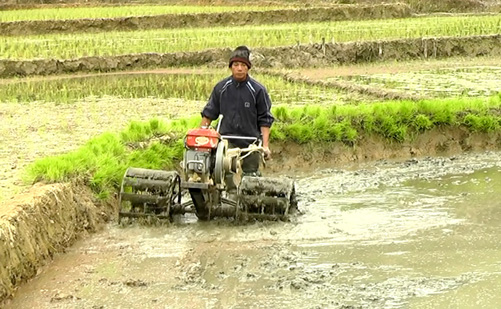 Tiến bộ khởi sắc nhờ Chương trình 135 ảnh 1
