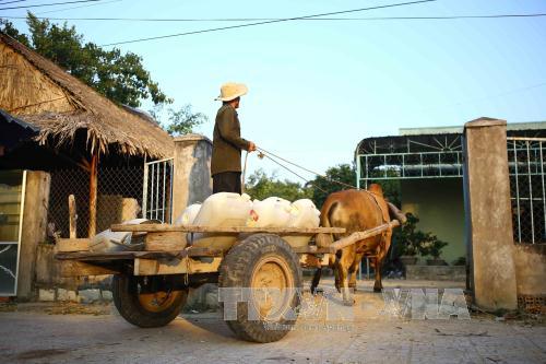 Bình Thuận chống chọi "cơn khát" nghiêm trọng ảnh 4