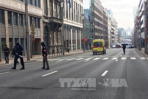 Brussels tan hoang sau 5 vụ đánh bom đẫm máu ảnh 12