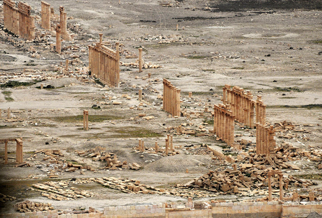 Palmyra giải phóng - hy vọng trong trái tim người Syria ảnh 8