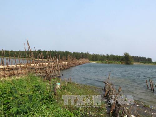 Từ 12/4 độ mặn giảm nhanh tại đồng bằng sông Cửu Long ảnh 1