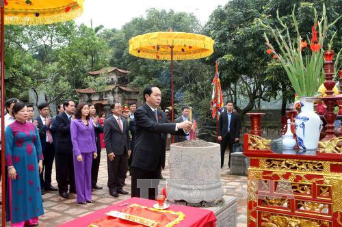 Chủ tịch nước thăm, làm việc tại Ninh Bình ảnh 1