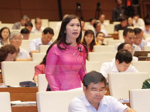 Bình đẳng giới thực chất trong bầu cử ảnh 1