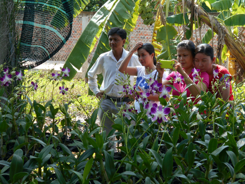 Nông dân Khmer phát triển nông nghiệp đô thị ảnh 1