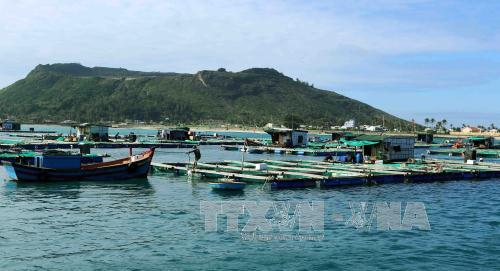 Lý Sơn giản dị mà đầy mê hoặc ảnh 9