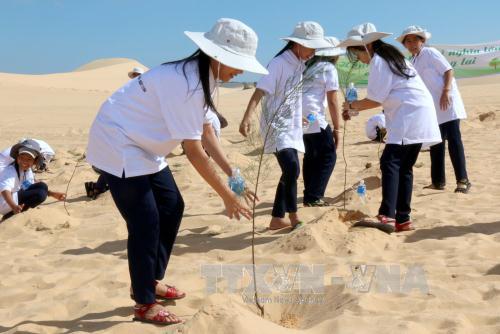 Chặn đứng nạn cát bay, cát nhảy ảnh 2