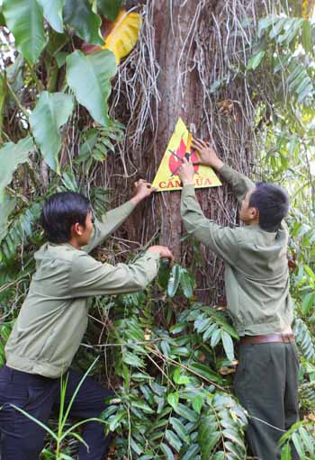Tây Nguyên xác xơ vì khô hạn ảnh 1