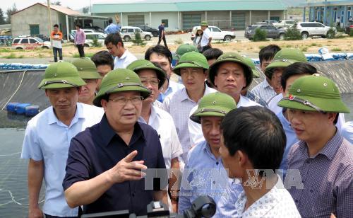 Sớm xác định nguyên nhân cá chết và hỗ trợ người dân ảnh 1