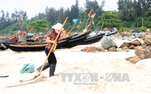 Giảm thiểu tác hại của hiện tượng cá chết hàng loạt ảnh 1