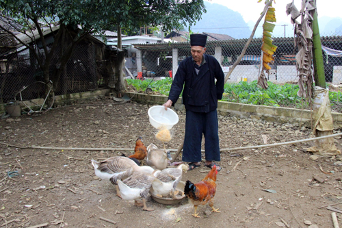 Trưởng Ban công tác Mặt trận nhiệt tình, tâm huyết ảnh 1