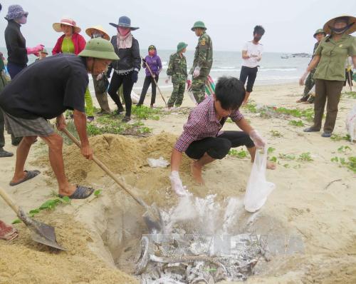 Hỗ trợ ngư dân gặp khó khăn do cá chết bất thường ảnh 1