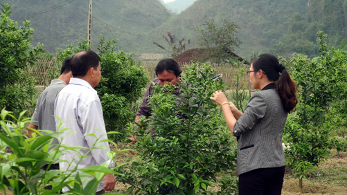 Phát huy sức dân để xây dựng nông thôn mới ảnh 2