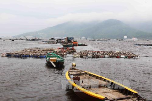 Đà Nẵng gỡ khó cho ngư dân, tiểu thương ảnh 1