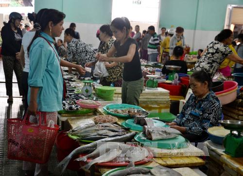 Đà Nẵng mở các điểm bán cá sạch ảnh 1