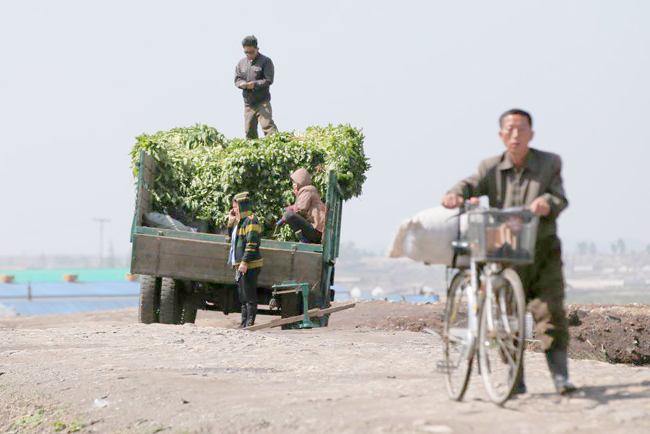 Hé lộ những bí ẩn về đời sống nông thôn Triều Tiên ảnh 5