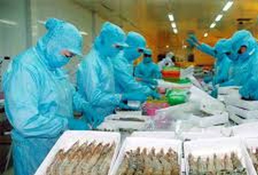 Xuất khẩu tôm sang Mỹ tăng mạnh ảnh 1