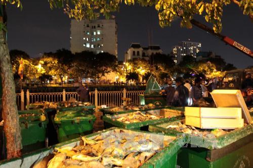 Cơ bản xử lý xong số cá chết trên kênh Nhiêu Lộc ảnh 2