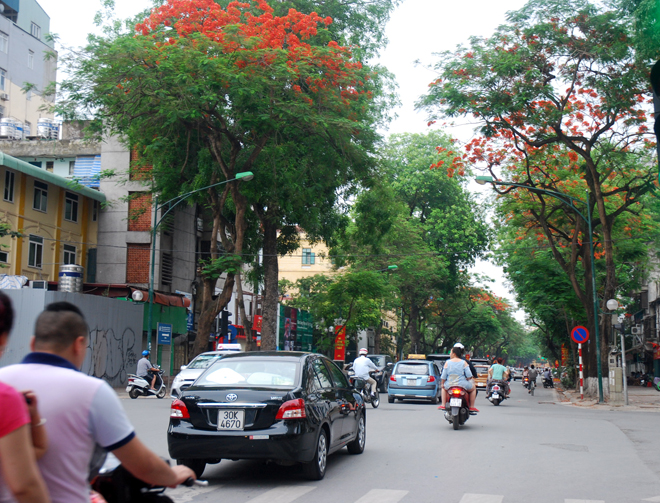 Sau bầu cử, đường phố Hà Nội lại sôi động ảnh 11