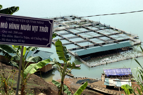 Khai thác tiềm năng hồ thủy điện Sơn La ảnh 7