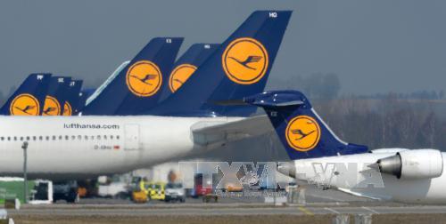 Lufthansa dừng bay tới Venezuela từ 17/6 ảnh 1