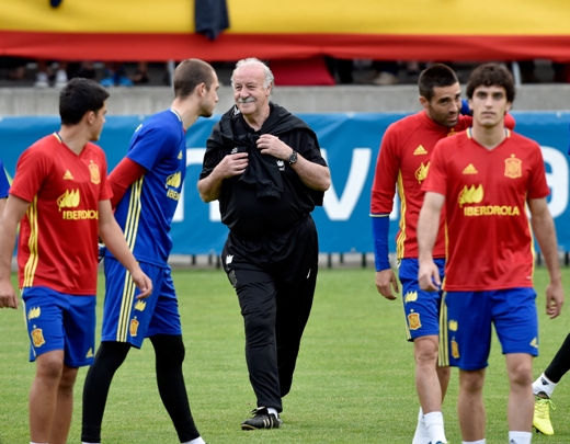 Bảng D EURO 2016 – Tây Ban Nha và phần còn lại ảnh 1