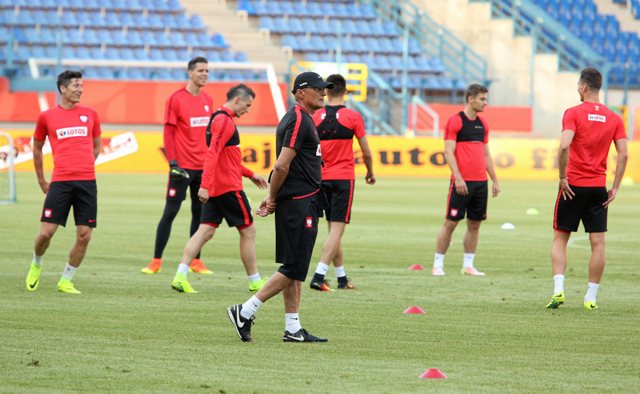 Những"chú ngựa ô" của Euro 2016 ảnh 2