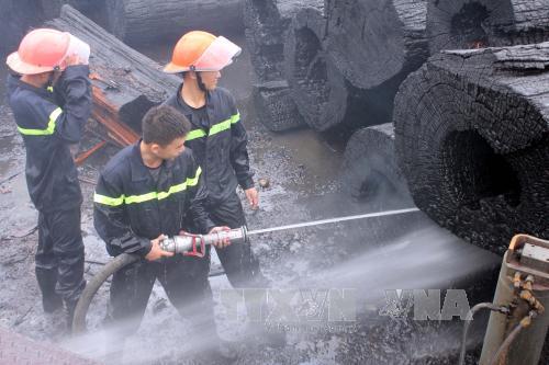 Kịp thời dập tắt vụ cháy tại bãi tập kết gỗ ở Nghệ An ảnh 1
